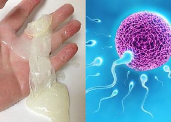 Cách nhận biết chồng ngoại tình qua tinh trùng cực kỳ đơn giản