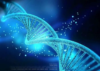 Dịch vụ xác minh truy tìm dấu vết ADN 16 Dịch vụ xác minh truy tìm dấu vết ADN