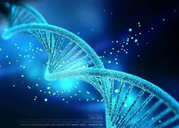 Dịch vụ xác minh truy tìm dấu vết ADN
