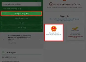 Hướng dẫn tra cứu thông tin cá thể từ CMND/CCCD Online chi tiết nhất