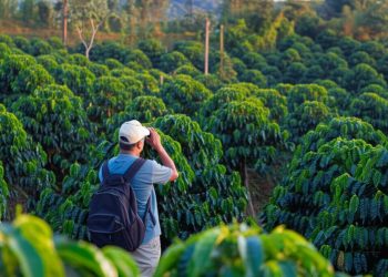 Thám tử Đắk Nông quan sát bí mật.