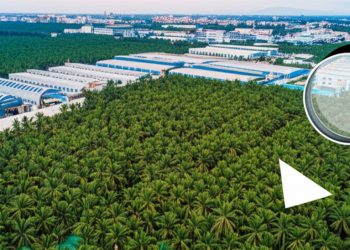 Thám tử điều tra nội bộ Bến Tre, giải pháp an toàn doanh nghiệp