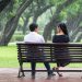 Thám tử xác minh ngoại tình Bà Rịa, dịch vụ uy tín.